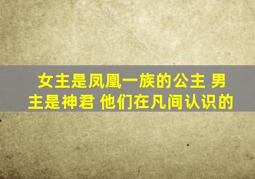 女主是凤凰一族的公主 男主是神君 他们在凡间认识的